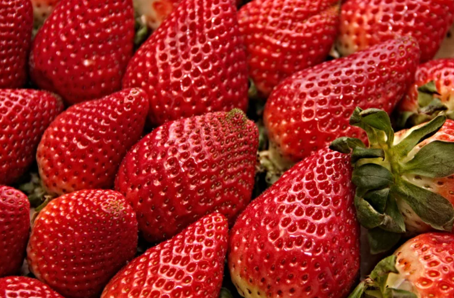 Fruit cocktail | Welkomstdrankje