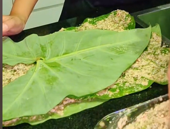 Sehna - Heerlijke Vegetarische Snack